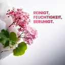 Schaumreiniger 150 ml - Mit Sakura & Centella Asiatica für strahlende Haut