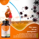 Q More - Immunsystem Unterstützung mit Vitamin C, D, Zink, Selen - 60 Kapseln