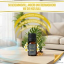 Scentfume  Duftöl Diffusor Ätherische Öle 10 ml – Auto, Zuhause & Aromatherapie