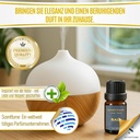 Scentfume  Duftöl Diffusor Ätherische Öle 10 ml – Auto, Zuhause & Aromatherapie